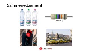 Vizuális irányítás